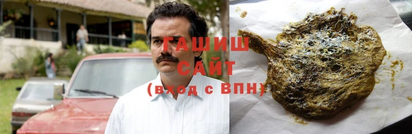 индика Сосновка