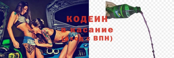соль ск Сосновоборск
