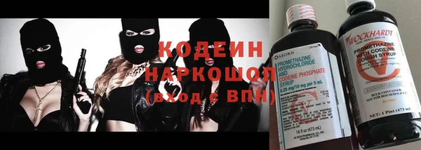 индика Сосновка