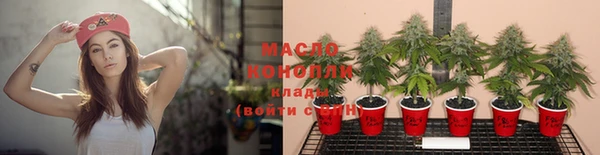 соль ск Сосновоборск