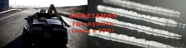 индика Сосновка