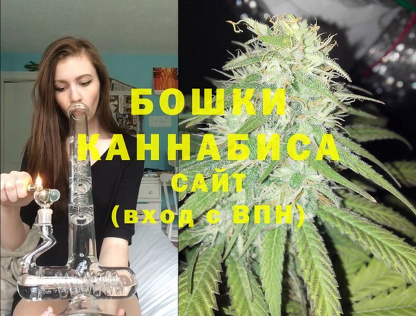 индика Сосновка