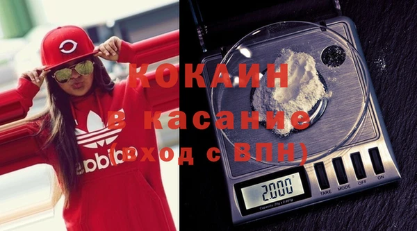 индика Сосновка