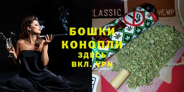 индика Сосновка