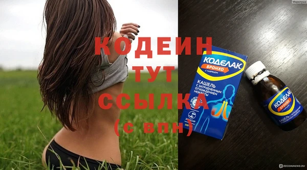 индика Сосновка