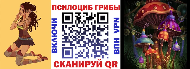 Галлюциногенные грибы Psilocybe  Купить где  Суздаль 